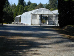 UBC Botanical Garden Nursery